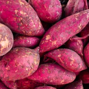 Farm fresh Sweet Potato
